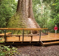 Burrawan State Forest - Holiday Adelaide