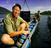 Armstrong Oysters - Holiday Adelaide