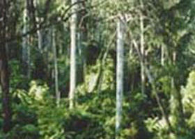 Lind National Park - Holiday Adelaide 0