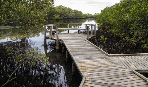 Walk On Water Walking Track - Holiday Adelaide 1
