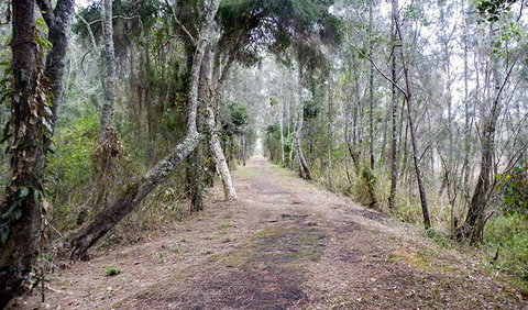 Walk On Water Walking Track - Holiday Adelaide 2