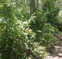 Bridle trail - Holiday Adelaide