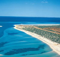 Monkey Mia - Holiday Adelaide