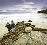 Wilderness Coast Walk - Holiday Adelaide