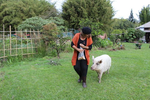 Djanbung Permaculture Gardens - Holiday Adelaide 7
