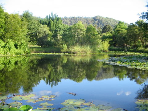 Djanbung Permaculture Gardens - Holiday Adelaide 10