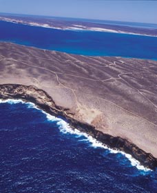 Zuytdorp Cliffs - Holiday Adelaide 1