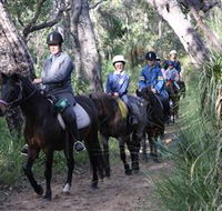 Mirravale Horse Riding School - Holiday Adelaide