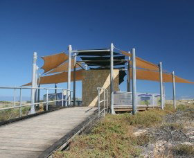 Jurabi Turtle Centre - Holiday Adelaide 0