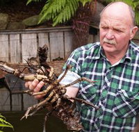 Lobster Ponds - Holiday Adelaide