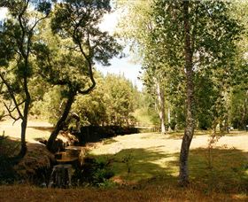Oldina Picnic Area - Holiday Adelaide 0