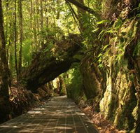 Philosopher Falls - Holiday Adelaide