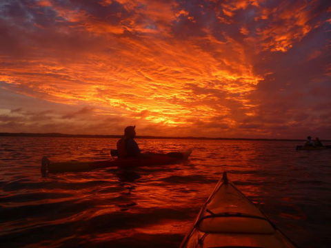 Canoe The Coorong - Holiday Adelaide 6