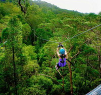 Canyon Flyer - Holiday Adelaide