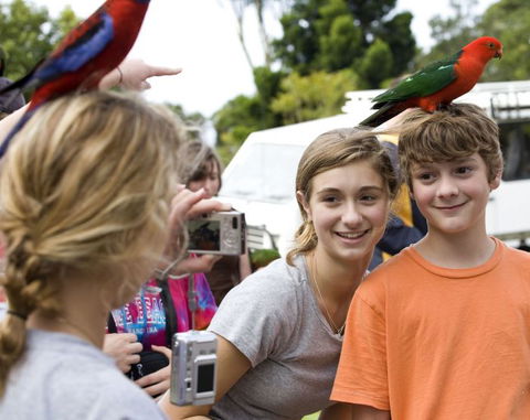 Southern Cross Day Tours Gold Coast - Holiday Adelaide 21