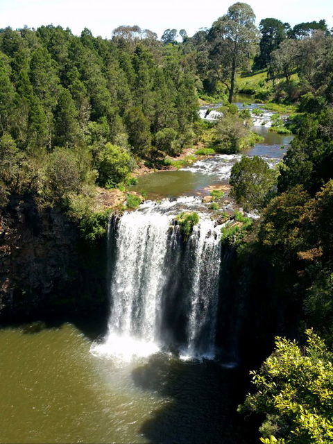 A1 Coffs Coast Tours - Holiday Adelaide 5