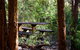 Karrak Reach Forest Retreat - thumb 1