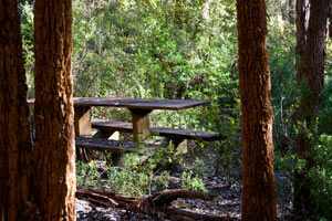 Karrak Reach Forest Retreat - Holiday Adelaide 1