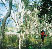 Thorsborne Trail Hinchinbrook Island National Park - Holiday Adelaide