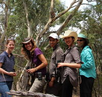 Echidna Walkabout Nature Tours - Holiday Adelaide
