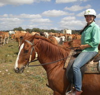 Myella Farm Stay Tours - Holiday Adelaide