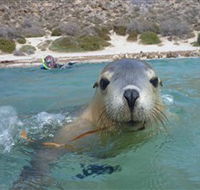 Calypso Star Charters - Holiday Adelaide
