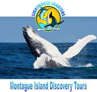 Lighthouse Charters Narooma - Holiday Adelaide