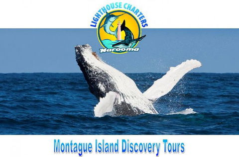 Lighthouse Charters Narooma - Holiday Adelaide 3