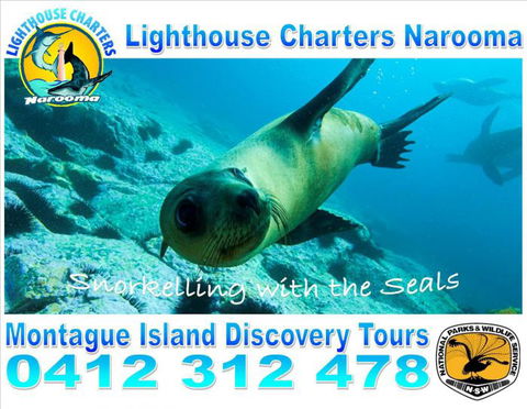 Lighthouse Charters Narooma - Holiday Adelaide 14