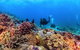 Sunreef Mooloolaba - thumb 7
