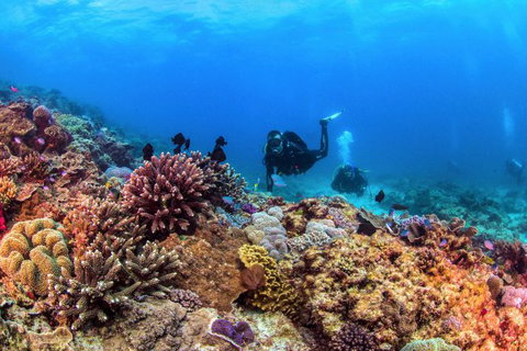 Sunreef Mooloolaba - Holiday Adelaide 7