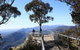 Australian Natural Treasures Touring - thumb 14