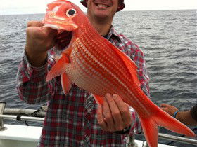 Goin' Off Safaris - Holiday Adelaide 0