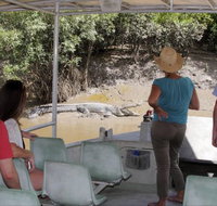 Whitsunday Crocodile Safari - Holiday Adelaide