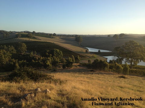 La Prova Wines - Holiday Adelaide 3