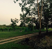 Brierley Wines - Holiday Adelaide