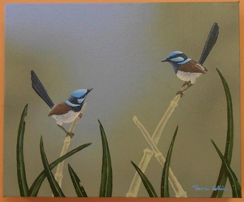 Castlereagh Collectables - Holiday Adelaide 0