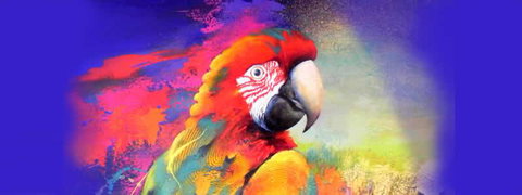 Tina Cooper Gallery - Holiday Adelaide 2