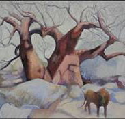 Bright Madge - Holiday Adelaide