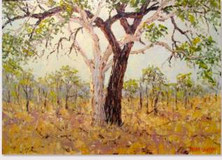 Peter Lawson Fine Art - Holiday Adelaide 1