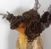 Caldera Wildscapes Gallery - Holiday Adelaide