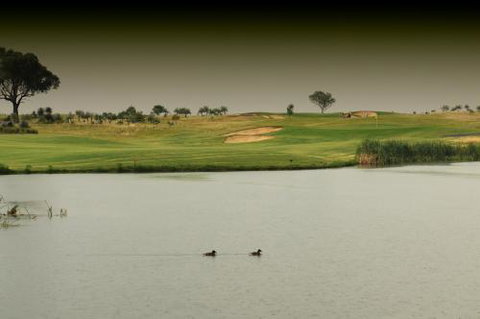 Thorny’s Putt-Putt - Holiday Adelaide 1