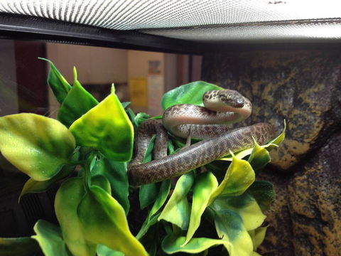 Pets Wonderland - Holiday Adelaide 3