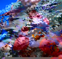 Tropical Marine Centre - Holiday Adelaide