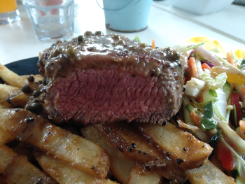 Airlie Beach Party Bus - Holiday Adelaide 4