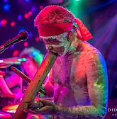 Didgeridoo Jam In The Park - Holiday Adelaide 1