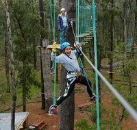 Busselton High Ropes and Zipline Adventure - Holiday Adelaide