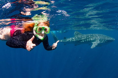 VIP Luxury Chartered Escapes, Exploring The Reef At Your Own Pace - Holiday Adelaide 20