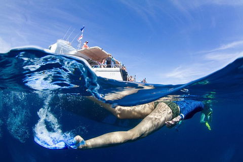 VIP Luxury Chartered Escapes, Exploring The Reef At Your Own Pace - Holiday Adelaide 40