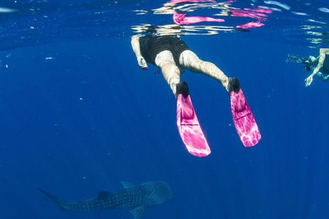 VIP Luxury Chartered Escapes, Exploring The Reef At Your Own Pace - Holiday Adelaide 49